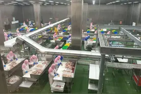 “老子故里”鹿邑：着力打造新IP，激发经济新活力｜走民企看发展提信心㉑图片