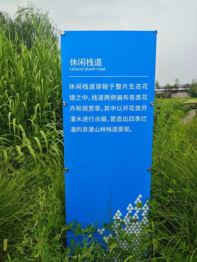 热度高！通州这个新公园到底有啥魅力？小编现场实探，附开放时间......