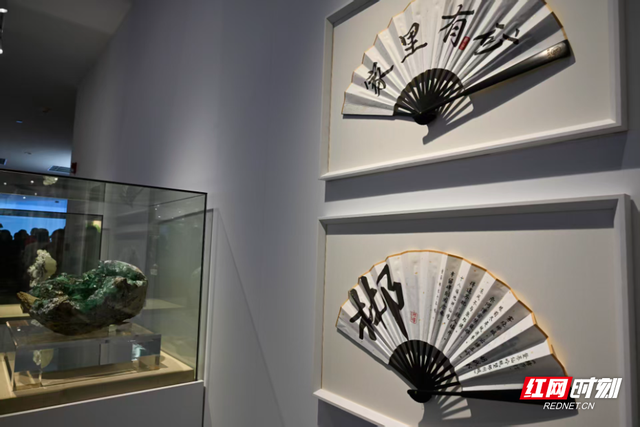 进博湘见·组图丨湖南馆有多美