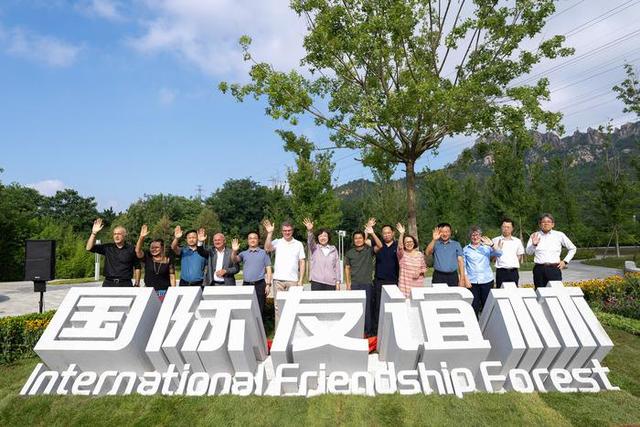 山海为媒，友城共舞：青岛以开放之姿书写国际友城合作新篇章