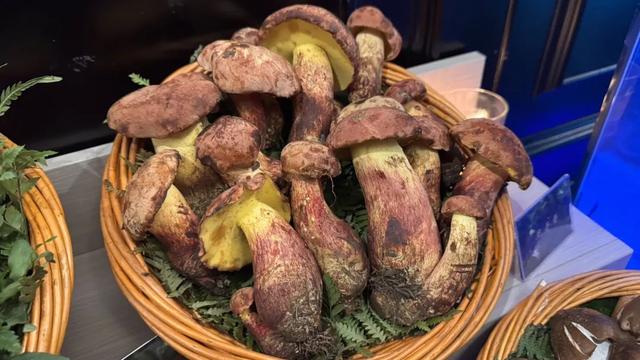 飞昆明吃几顿饭