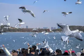 赏太湖美景品湖鲜美食 无锡重启太湖“水上游”图片