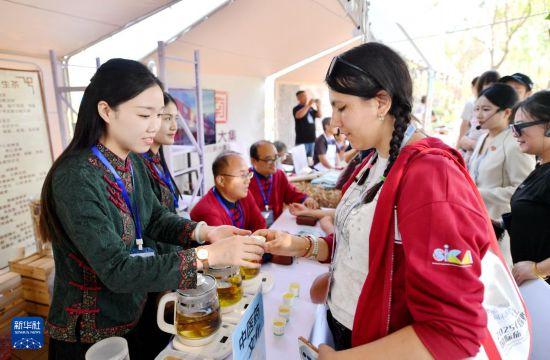 中外游客打卡石家庄 沉浸式感受城市风貌