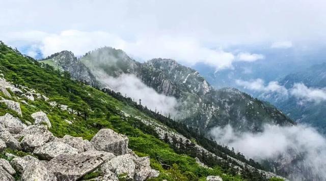 你的周末含“秋”量是多少？来秦岭测测！