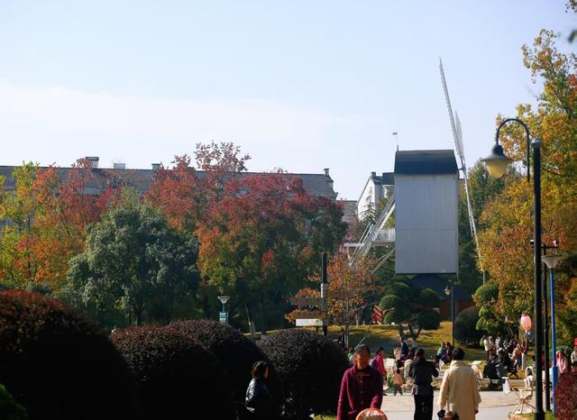 洪山大学之城：晚秋绘彩图，来一场邂逅半红半黄的浪漫之约