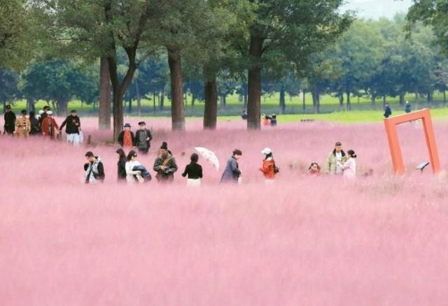 秋染长安色斑斓　霜落成诗醉流年