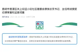 昆明市官渡区关上街道小街社区居委会原党总支书记、主任杨斌被查图片