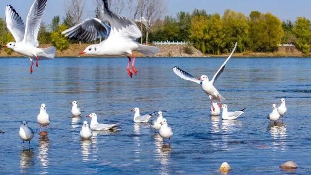 听劝，冬天在洛阳，就要这么玩！