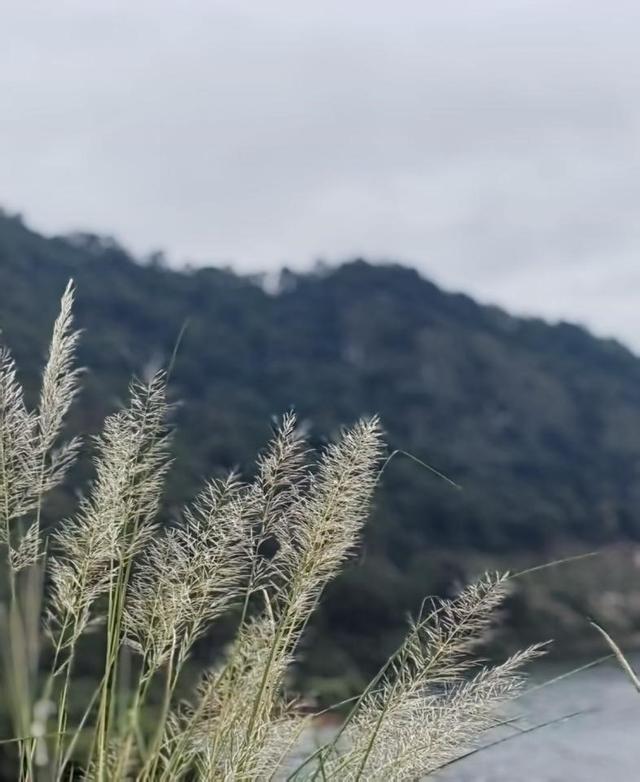 晚潮｜潜明水库三笺
