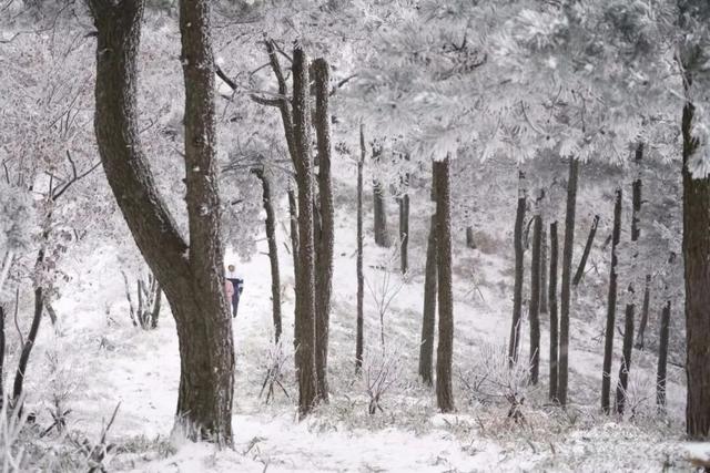 晚潮｜北山遇见