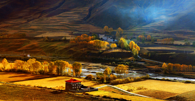 听说放秋假了？新都桥这波秋日余温太美了