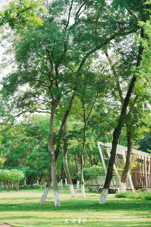 周末放晴！来长沙县这些地方“撒欢”吧！