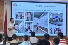 1000多号标本亮相，四川省农业科学院昆虫博物馆首次对外开放图片