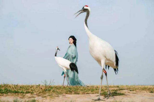 跟着短片游盐城！5条电影主题路线，银幕风景照进现实