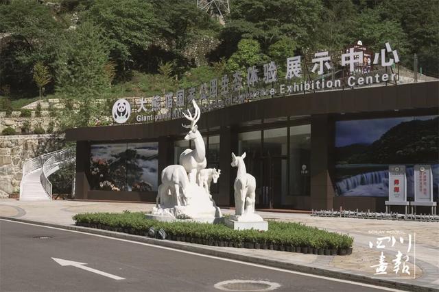 画卷天府·熊猫文化｜熊猫符号经济：符号驱动的新经济范式