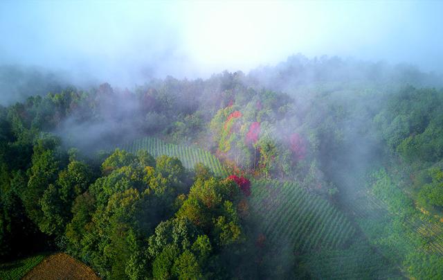 巴东：雾漫石喊山，深秋美如画