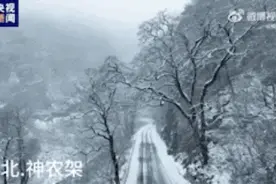好大的雪！武汉今冬有多冷？最新预测图片