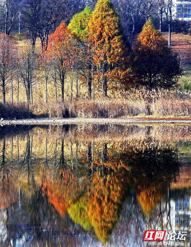 漫步神农湖：在城市的喧嚣边缘，寻一方安宁