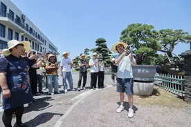 苗木之乡开启“新农人”带货直播培训班图片