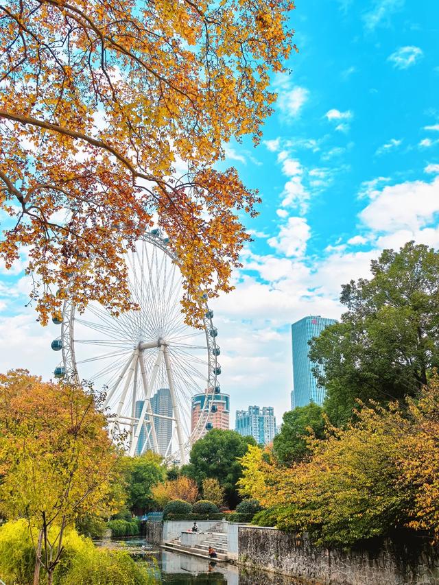 冬来秋未尽！秋天是赖上合肥了？