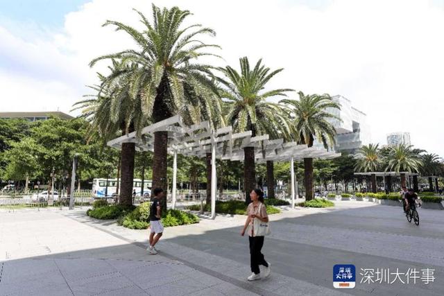 从穿过一条路，到停留一片景 宝安解题“城市为谁而建”