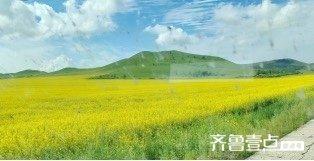 壹点号·行记|向北，向蓝——自驾额尔古纳，一路撞见宫崎骏的夏天