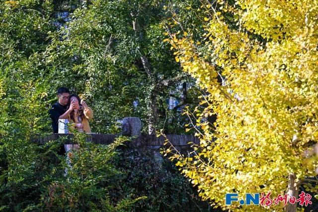 颜值巅峰！福州这个宝藏村落，正上演年度色彩盛宴！