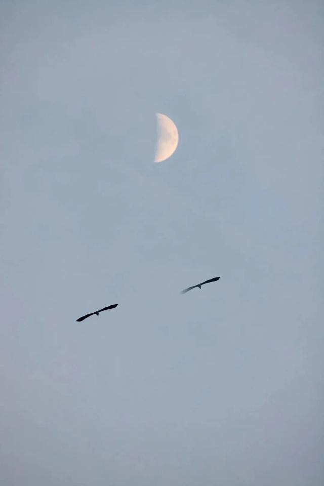 红红红！青岛这片红海滩太美了！