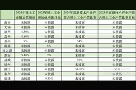 2024年江苏GDP增量全国第一：淮安增速领跑，南京失速｜预见2025·长三角⑪图片
