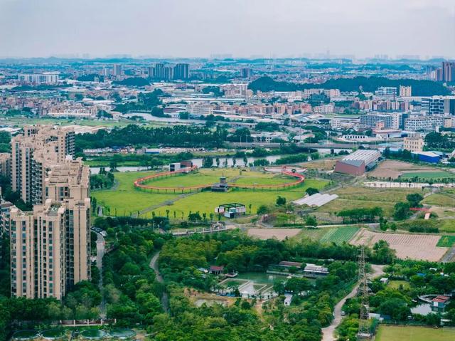 免门票！里水登高首选！3条赏秋路线→