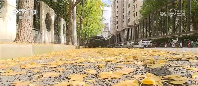 “限量版”秋冬美景成为旅游“金名片” 各地打造文旅市场新增长点