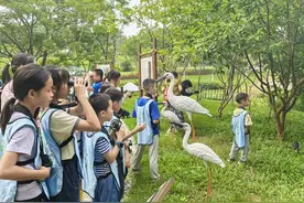 寻找飞行精灵！来白云区这个水鸟生态廊道打卡吧图片