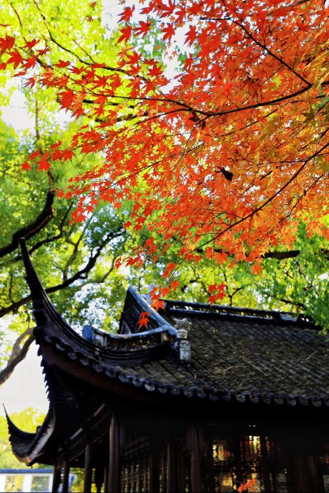 松江秋景开挂！5个宝藏地的红黄皮肤，限时上线！