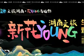 青年人才请就位！湖南文旅“新花YOUNG”为你创业开绿灯图片