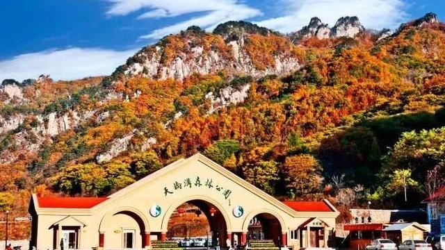 辽宁3地荣登2025中国最美县域，解锁辽宁文旅新画卷