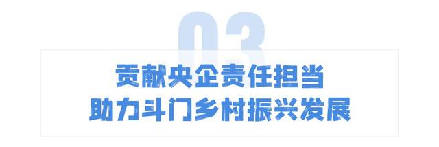 小斗湖鳘鱼胶效果 2026年斗湖鱼胶的功效与作用