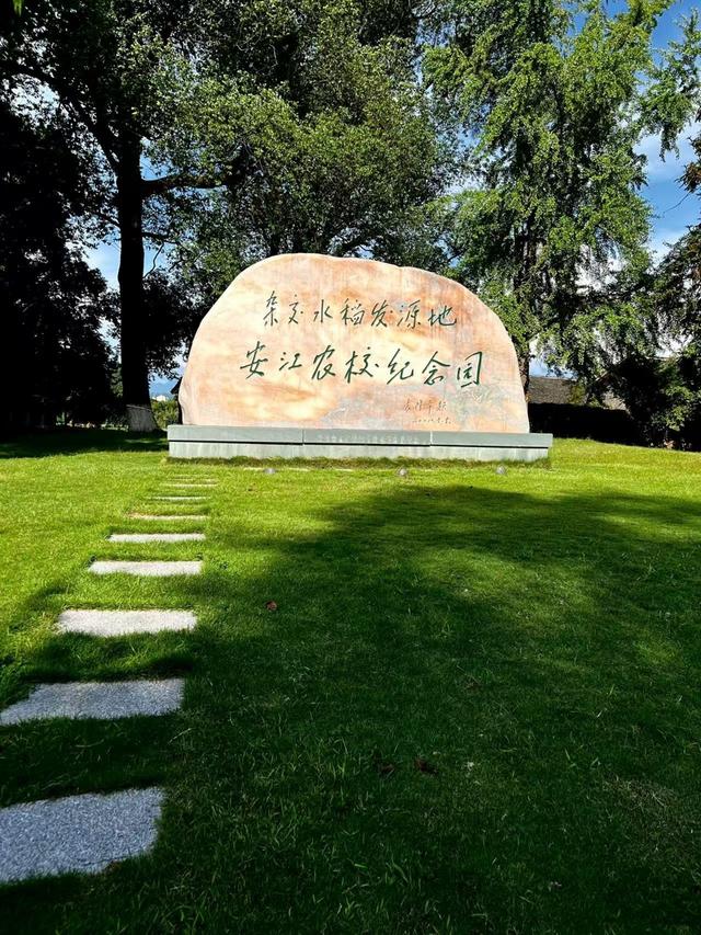 怀天化地：稻花香里说怀化