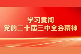 消费税征收后移并下划地方！专家：或利好广东等酒类消费大省图片