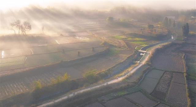 曲靖：光影流转 冬韵如诗