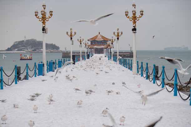 漫步青岛海滨