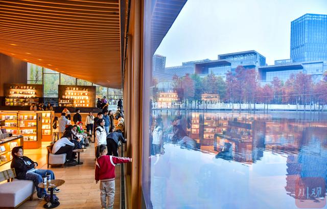 C视觉丨初冬兴隆湖 邂逅油画森林