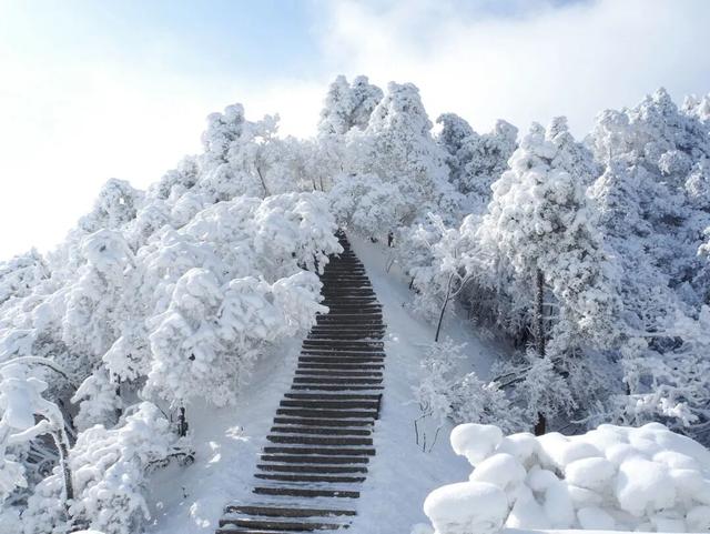 别等了！来九华赏雪景