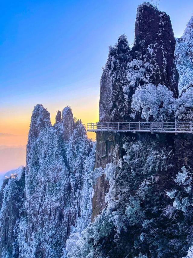 美到词穷！郴州首场雾凇惊艳上线