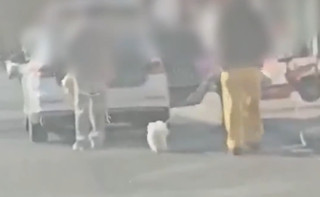 警车上下来3人牵着宠物狗？河北围场警方：涉事辅警违反公务用车等规定，解除劳动关系