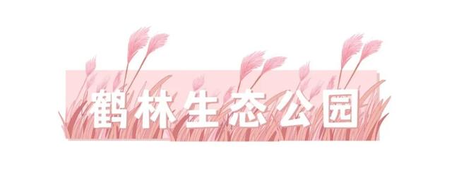 秋日“顶流”来啦！就藏在福州这些公园里
