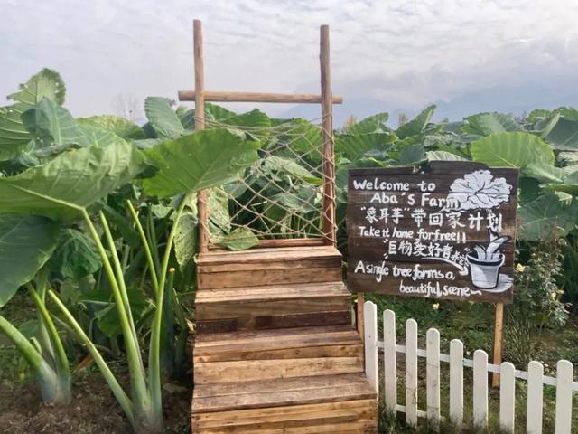 西安出发1h！这4个宝藏农场！