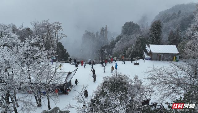 大寒时节雪纷飞 张家界国家森林公园雪景如画