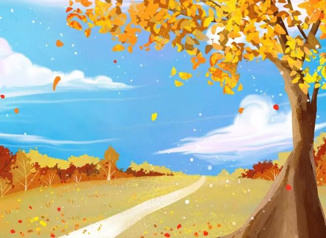 热搜！寒潮收尾！周末最高21℃！来光明东滩源、黄山茶林场兜兜…最低2折特惠！太值了！