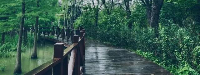 太好了！洛阳这场“补水喷雾”终于要停了！