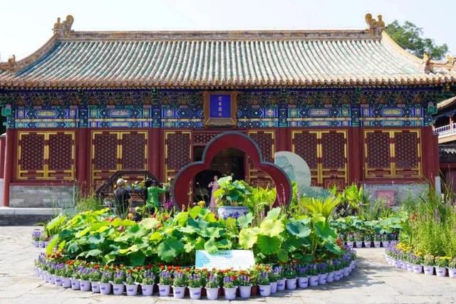 逛西城，到北海公园来个20分钟“精神快充”